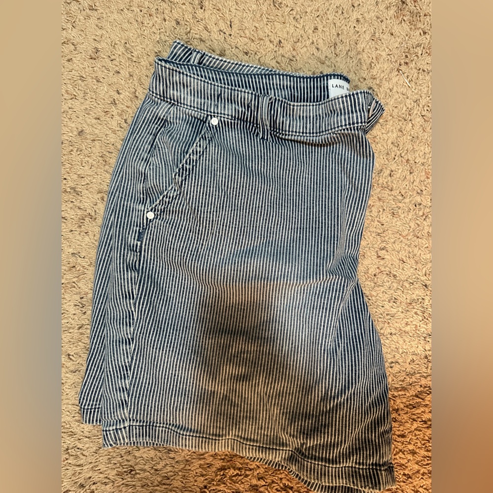 Lane Bryant Blue and White Striped  Shorts
